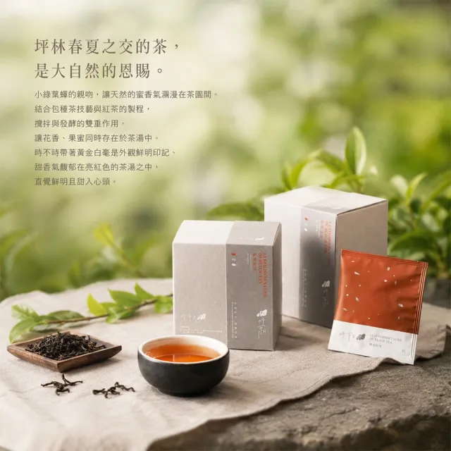 【PINGNA DAY 坪常日】坪林文山包種茶/蟬追蜜香紅茶包4gx10包x2盒(共20包入)