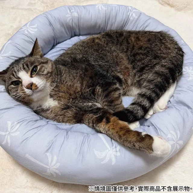 【NITORI 宜得利家居】(DECO HOME商品)接觸涼感 寵物床 圓 N COOL PALM NR04(DH)