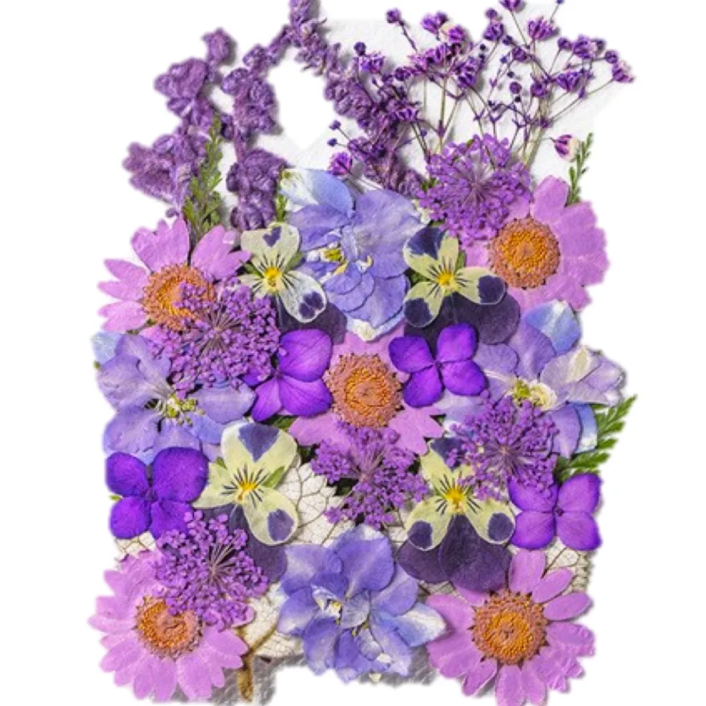 【A-ONE 匯旺】真花壓花 乾燥花 拼貼 貼臉裝飾 新娘妝 少女寫真DIY 壓花材料包