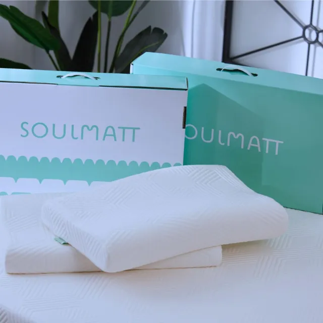 【SOULMATT】經典中枕(生日慶滿額贈 枕頭 Airwash涼洗綿 防蟎抗菌 可水洗 支撐 貼合 紓壓 不變形 不塌陷)
