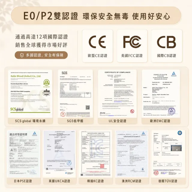 【Loctek 樂歌】DF1 電動升降桌 160*80 三段式雙馬達快充版(免費安裝/書桌/電腦桌/站立桌)