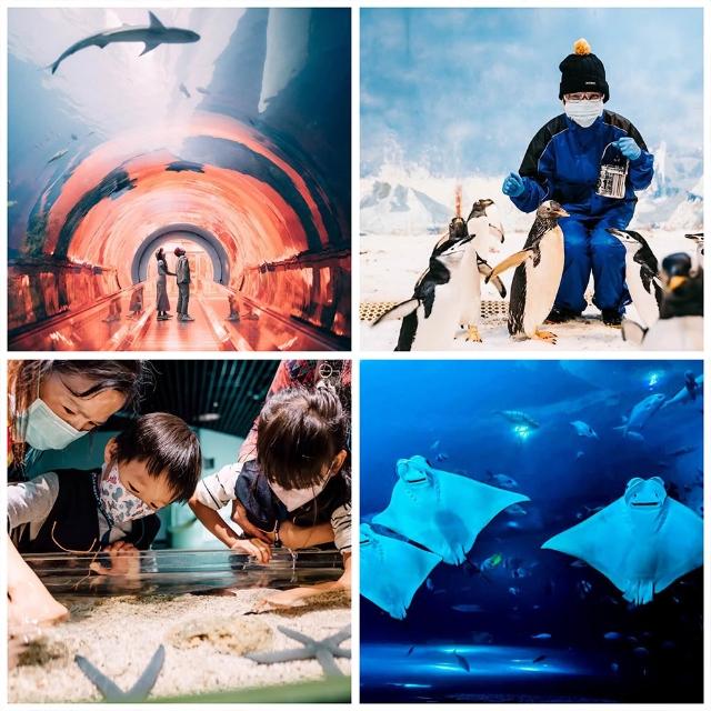 【屏東海洋生物博物館】海生館 單人券一張-全票(電子券即買即用-TKG)