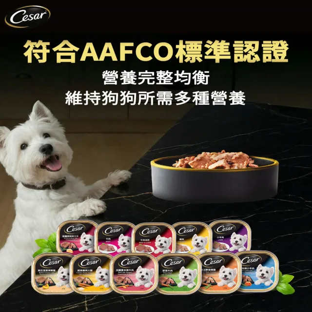 【Cesar 西莎】經典風味餐盒 100g*48入 寵物/狗罐頭/狗食(口味任選/狗罐/犬餐盒/熟齡犬/全齡適用)