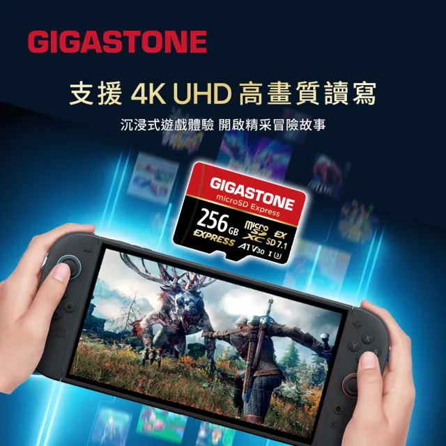 【Gigastone 立達國際】A1 V30 256GB microSD Express 高階遊戲記憶卡 ( 適用 Nintendo Switch 2 )