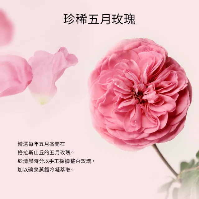 【CHANTECAILLE 香緹卡】五月玫瑰花妍露囤貨組(旅行限量版)