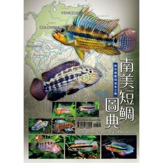 南美短鯛圖典: 雨林精靈與燈魚之舞