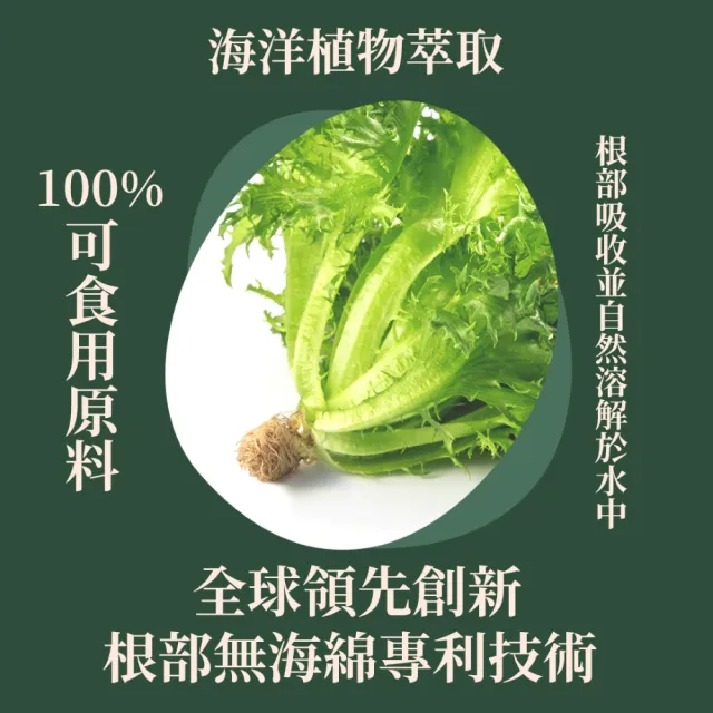 【源鮮智慧農場】綜合鮮蔬箱180g x 4盒 (生菜｜生菜沙拉｜水耕生菜｜生菜箱)