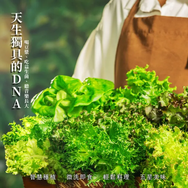 【源鮮智慧農場】綜合鮮蔬箱180g x 4盒 (生菜｜生菜沙拉｜水耕生菜｜生菜箱)