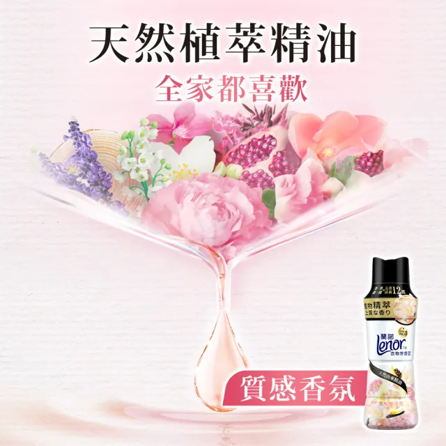 【Lenor 蘭諾】全新衣物芳香豆補充包x8入/430/440/455ml(香香豆/抗菌豆/香氛精油豆)