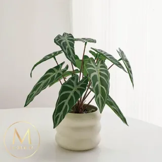 【Floral M】居家綠意滴水觀音25cm仿真植栽含花器(人造植栽/仿真樹/室內佈置/居家裝飾/桌上型植栽)