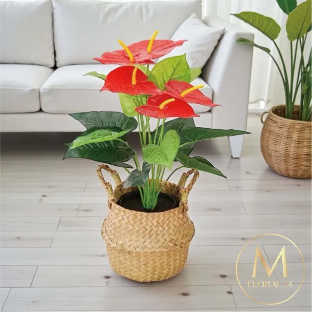 【Floral M】財源滾滾旺財火鶴花65cm仿真植栽(贈編織籃)(人造植栽/仿真樹/室內佈置/居家裝飾/桌上型植栽)
