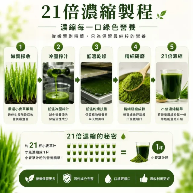 【Naturgrace 樂而泉】超濃縮美國有機火山小麥草汁粉 150gx2罐(有機 純素 葉綠素)雙11