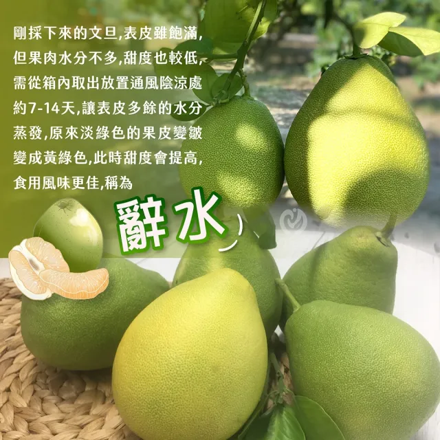 【初品果】台南麻豆老欉文旦禮盒10斤10-18顆x2箱(小果_中秋禮盒_中元普渡_拜拜_企業送禮_好友揪團)