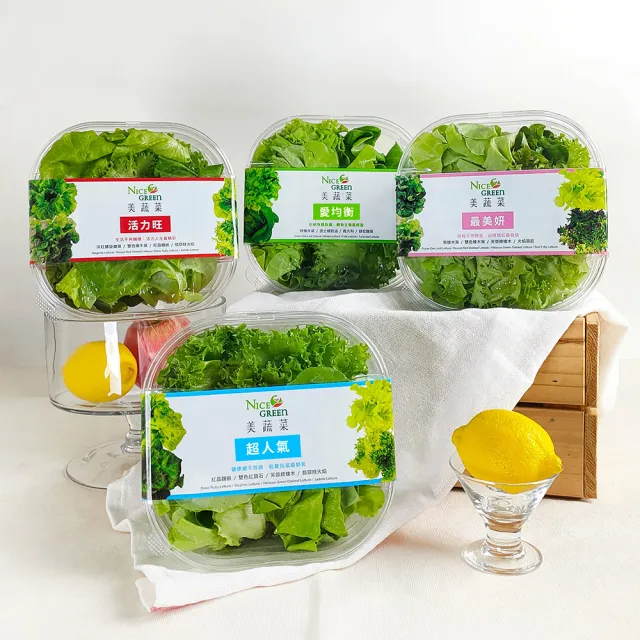 【NICE GREEn 美蔬菜】美蔬菜3入+人參黃耆茶1包(生菜 沙拉 萵苣 人參 黃耆茶)
