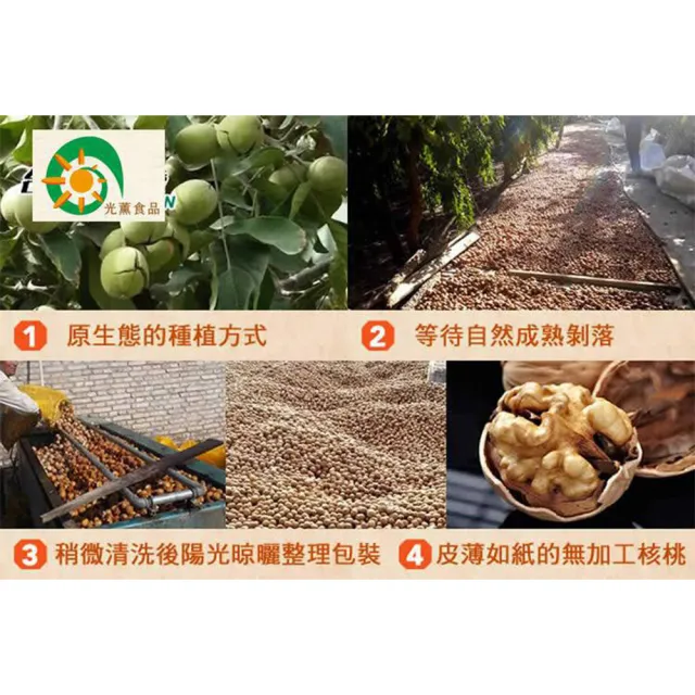 【Guang Xun 光薰】五包組 原味紙皮核桃(無農藥核桃 伴手禮 原味無調味堅果 春節送禮首選 0負擔養生零食