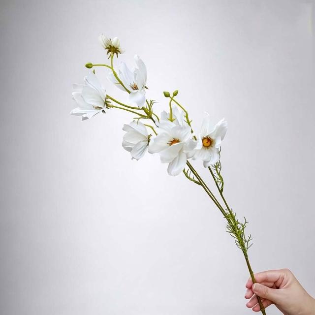 【Floral M】初戀少女白色波斯菊仿真花花材3入組(人造花/仿真花/假花/花藝DIY/裝飾花材)