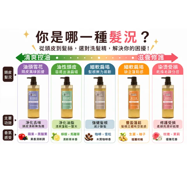 【古寶無患子】3瓶入 成分升級新上市-無矽靈洗髮精露530g(強健髮根/豐盈髮絲/潤澤柔順/控油去屑)