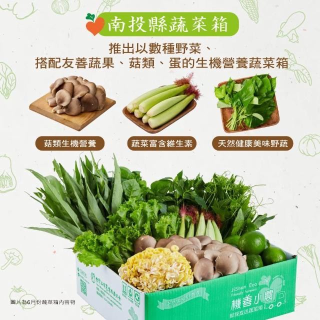 【機善小農】蔬菜箱_南投縣_經濟箱9件(每週出箱)(有機友善/鮮採直送/安心健康/支持家鄉好農產)