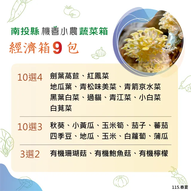 【機善小農】蔬菜箱_南投縣_經濟箱9件(每週出箱)(有機友善/鮮採直送/安心健康/支持家鄉好農產)