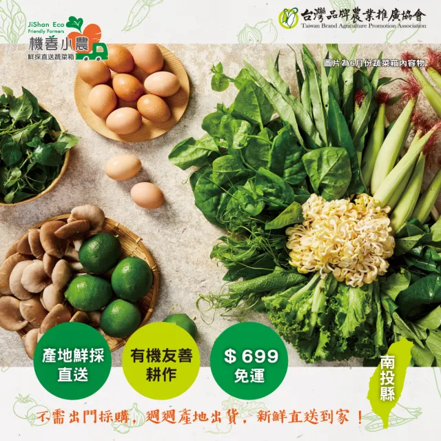 【機善小農】蔬菜箱_南投縣_經濟箱9件(每週出箱)(有機友善/鮮採直送/安心健康/支持家鄉好農產)
