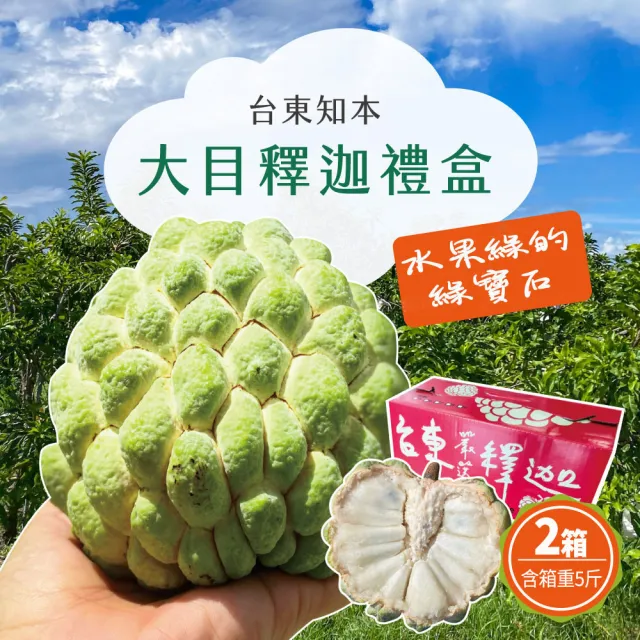 【初品果】台東知本大目釋迦禮盒含箱5斤4-5顆x2盒(送禮/禮盒/水果禮盒)