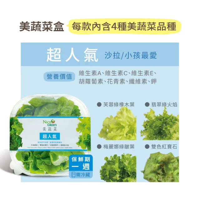 【NICE GREEn 美蔬菜】美蔬菜盒4入含運組送4包沙拉醬(萵苣 生菜 沙拉 蔬菜 防疫健康組)