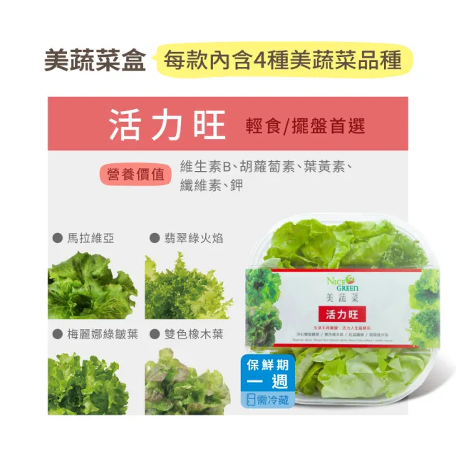 【NICE GREEn 美蔬菜】美蔬菜盒4入含運組送4包沙拉醬(萵苣 生菜 沙拉 蔬菜 防疫健康組)