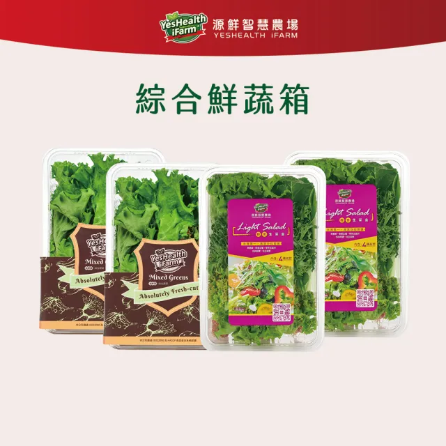 【源鮮智慧農場】綜合鮮蔬箱180g x 4盒 (生菜｜生菜沙拉｜水耕蔬菜｜蔬菜｜水耕生菜沙拉)