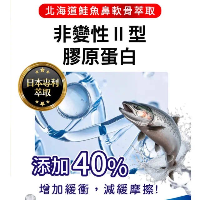 【美康櫻森】好膝利膠原軟骨素 1包共60粒(非變性二型膠原蛋白/蛋白聚醣/薑黃/維生素D3/北海道鮭魚鼻軟骨)