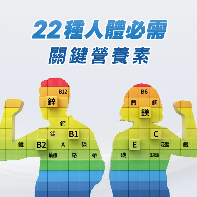 【CENTRUM 善存】銀寶善存50+綜合維他命禮盒(260錠/盒-基本保護配方 22種人體必需關鍵營養素 調整體質)