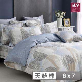 【HongYew 鴻宇】300織天絲棉 兩用被套-尼安斯(雙人)