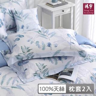 【HongYew 鴻宇】台灣製100%天絲 歐式壓框薄枕套2入-伊凡亞(60支/300織)