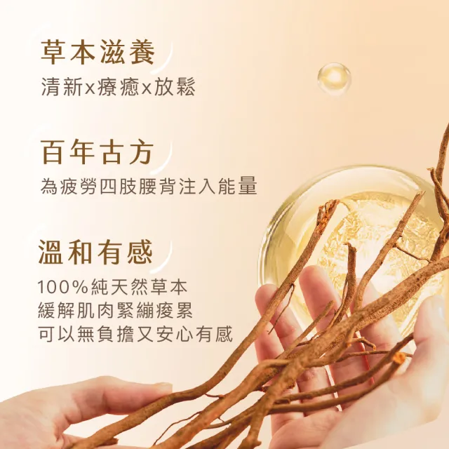 【金太武一條根】金門一條根金武好貼布4包組共32片(正宗一條根推薦)