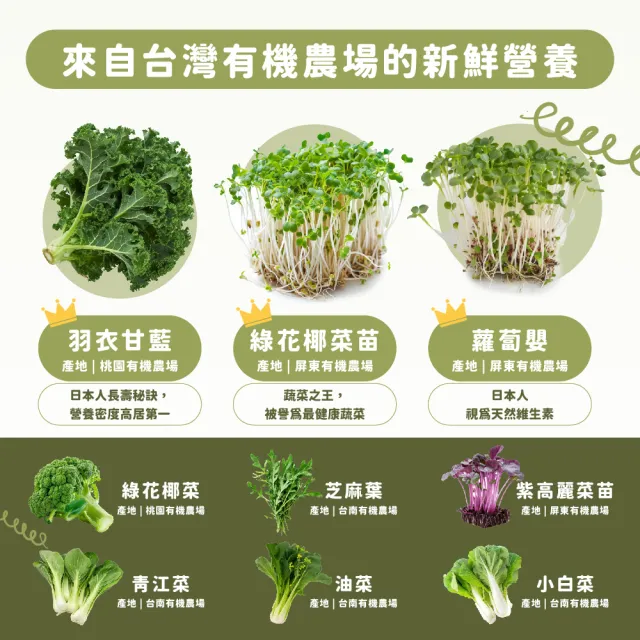 【Dr. Ginger 薑博士】超青汁2盒(30包/盒 花椰菜苗/羽衣甘藍/蘿蔔硫素)