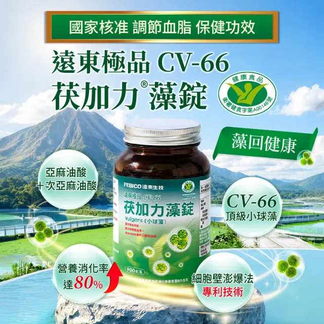 遠東極品CV-66茯加力藻錠-450錠/瓶(綠藻 小球藻  藻類  藻)