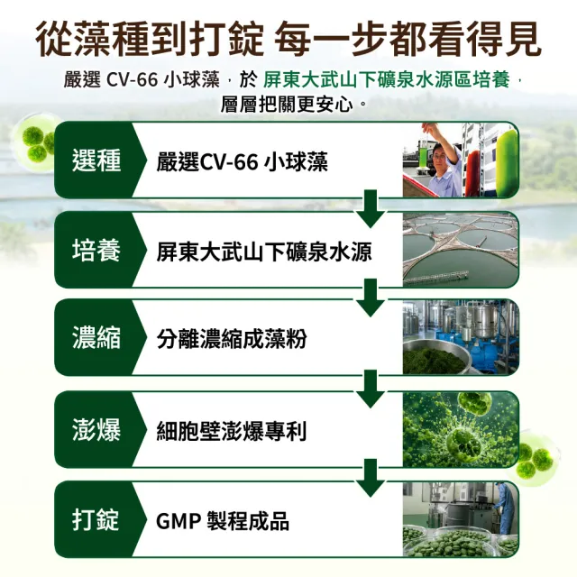 遠東極品CV-66茯加力藻錠-450錠/瓶(綠藻 小球藻  藻類  藻)