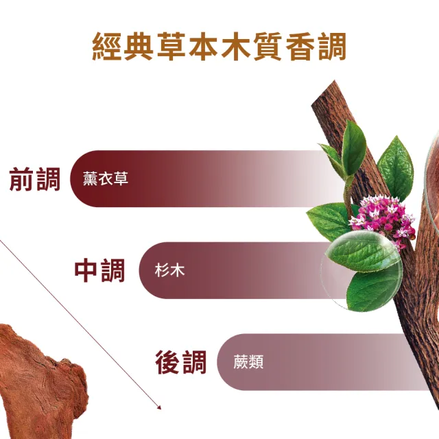 【KLORANE 蔻蘿蘭】官方直營 養髮超值6入組(養髮強韌精華液100ml升級版*3+養髮洗髮精400ml*3)