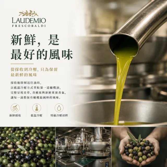 【Laudemio Frescobaldi】冷壓特級初榨橄欖油 500ml(早摘、可生飲、酸價0.2%)雙11