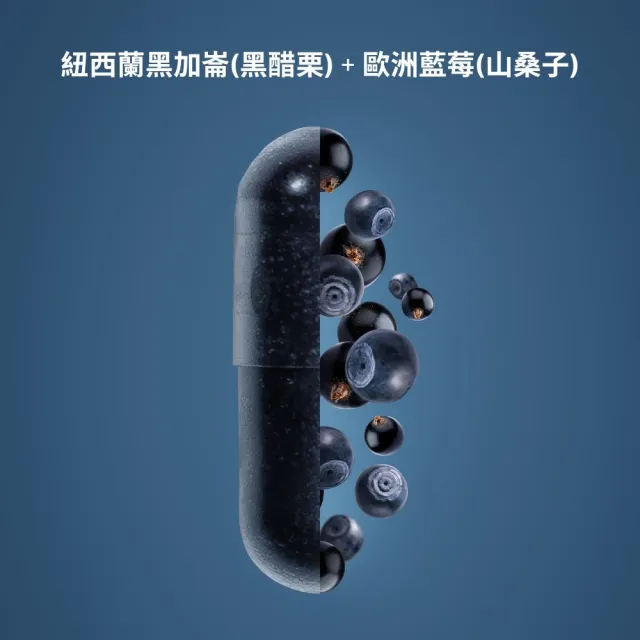 【Isbjorn 北極熊保健專家】挪威三倍濃縮魚油一瓶+Medox花青素膠囊一盒(144顆/瓶+30顆/盒 保健禮盒)