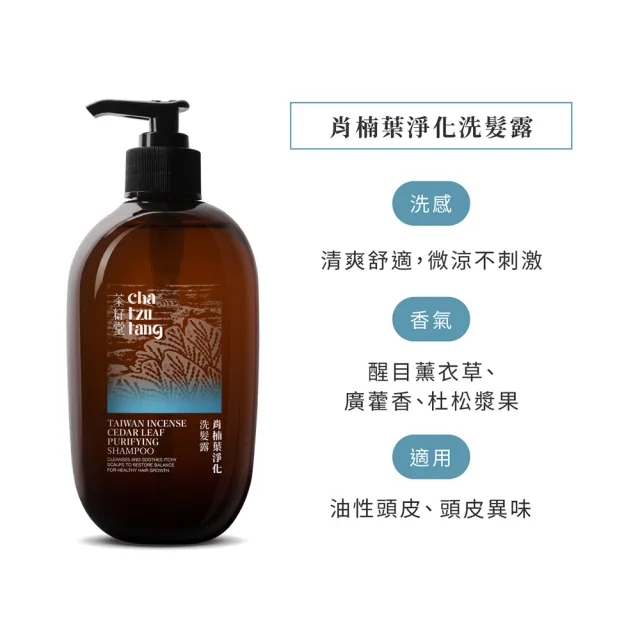 【茶籽堂】髮根蓬鬆調理組｜肖楠葉+錦葵洗髮露500mL(油性細軟髮/清爽控油/蓬鬆不塌)