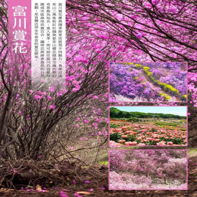 【找到了旅遊】首爾特惠促銷五日8-10月酷航空(下單免領隊小費)
