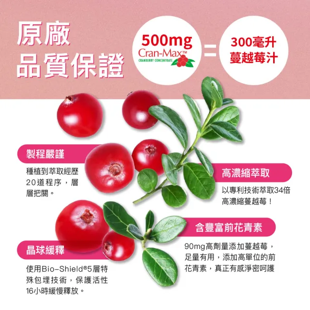 【Angel LaLa 天使娜拉】美國專利Cran-Max蔓越莓甘露糖益生菌膠囊x7盒(30顆/盒/益生菌/私密保養/賴雅妍)