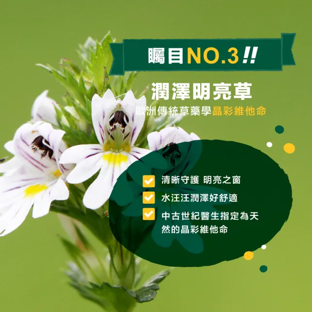 【mamacare 孕哺兒】小晶亮葉黃素★嚼錠100粒/盒(守護明亮之窗)