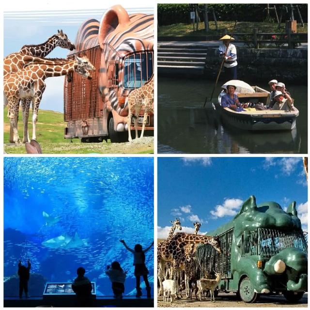 【喜鴻假期】★九州親子探險趣5日★叢林巴士、海之中道海生館、別府纜車、柳川搖船、九重夢大橋
