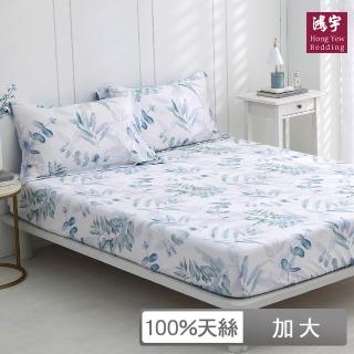 【HongYew 鴻宇】台灣製100%天絲 床包枕套組 加大-伊凡亞(60支/300織)