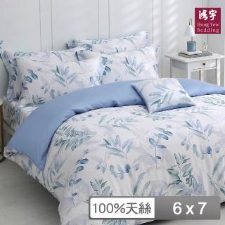 【HongYew 鴻宇】台灣製100%天絲 兩用被套 雙人-伊凡亞(60支/300織)