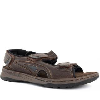 Gruner Schuhe Munich 棕色 休閒日常 OPEN 涼鞋 棕色男款鞋