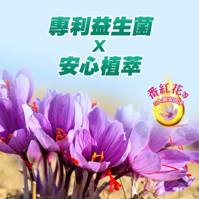 【CENTRUM 善存】舒眠益生菌膠囊 2盒組(60粒/盒-5大晚安因子 專利番紅花萃取 芝麻素 GABA 色胺酸)