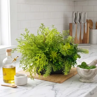 【HUGO DECO 榆果傢飾】高擬真蕨草多肉植物盆栽(擬真植物/禮物/綠化/永不凋零/佈置/蕨類)
