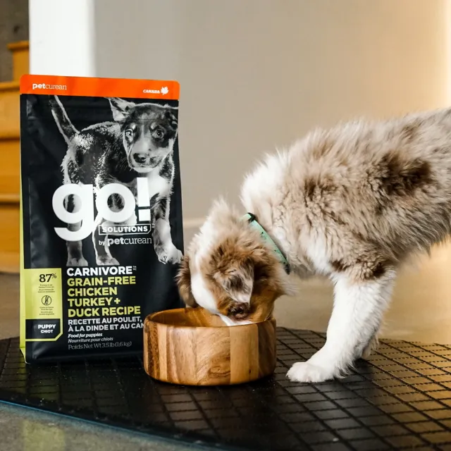 【Go!】雞肉鮭魚 3.5磅七包 幼犬/懷孕犬高肉量系列 無穀天然糧(狗糧 狗飼料 寵物食品 乾飼料)